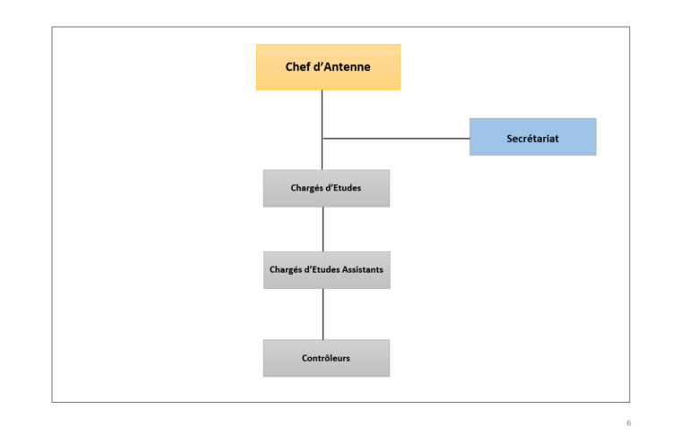 organigramme6_APN